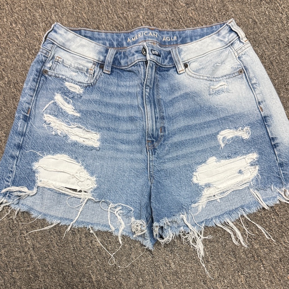 American Eagle Outfitters Light Blue Distressed Jean Shorts